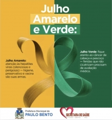 julhoverdeamarelo.jpg!