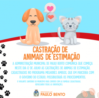pbprograma.png